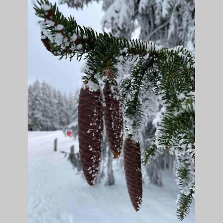 Zeit Fuer Dich Am Bergelchen, Winterberg Apartment Ngoại thất bức ảnh
